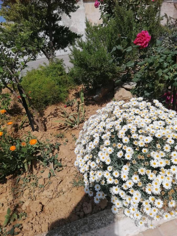 Elva Creta Daire Kandiye Dış mekan fotoğraf